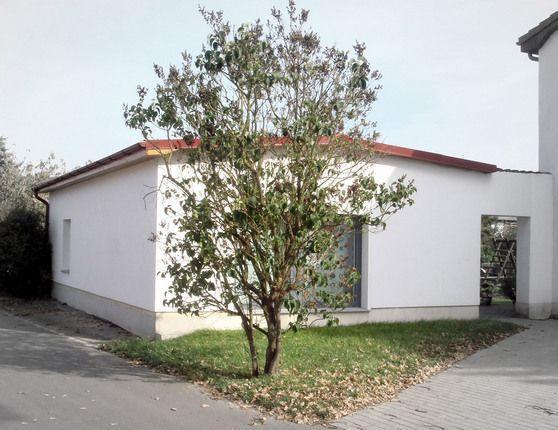 Ferienhaus-Poweleit Börgerende-Rethwisch エクステリア 写真